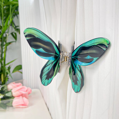 Queen Alexandra's birdwing claw