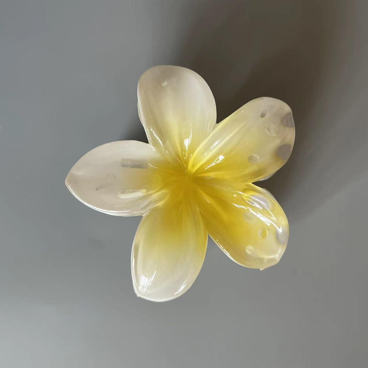 Frangipani Claw