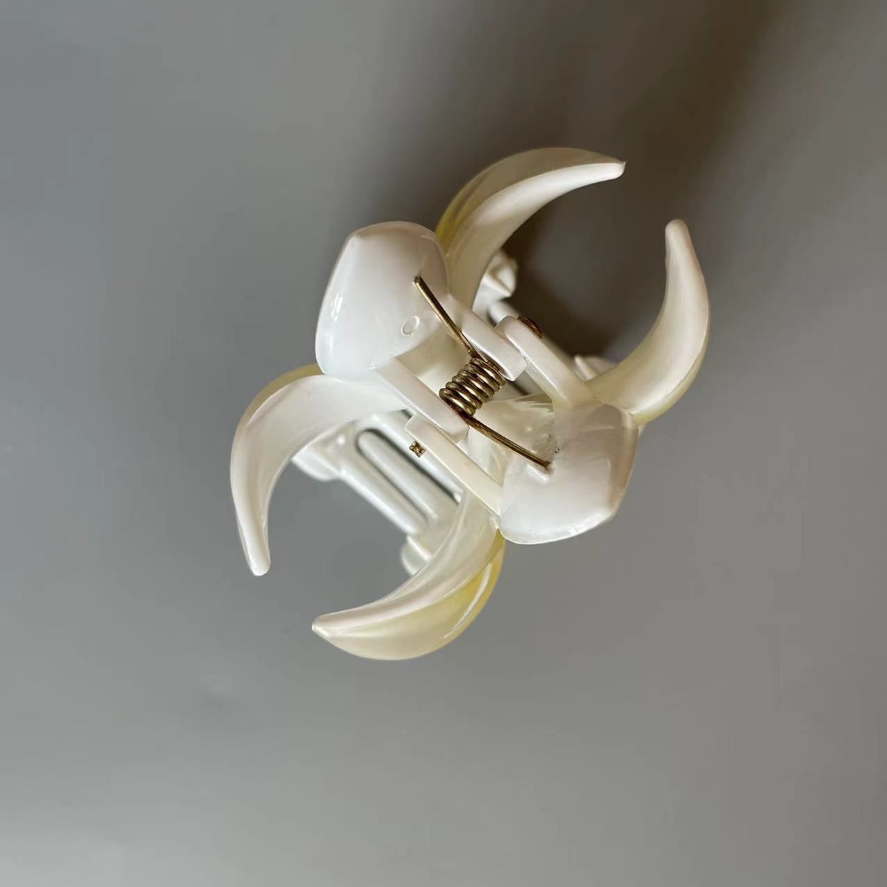 Frangipani Claw
