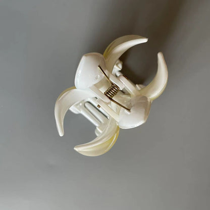 Frangipani Claw