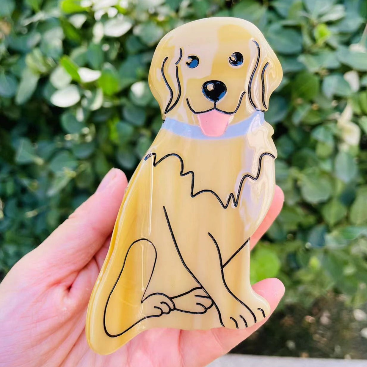 Labrador claw